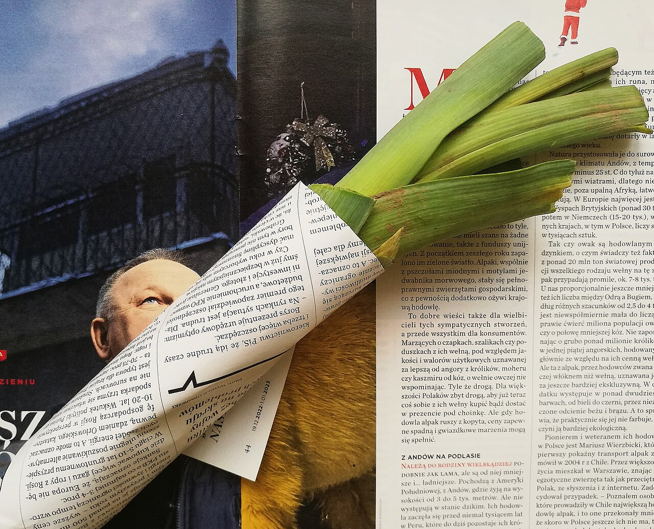 ackaged vegetable leek.jpg