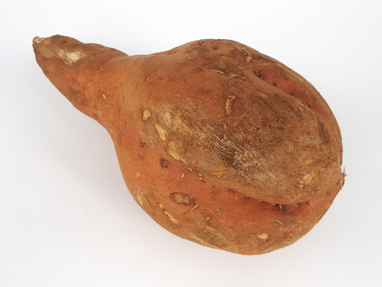 ear-shaped sweet potato 2017 A2.jpg