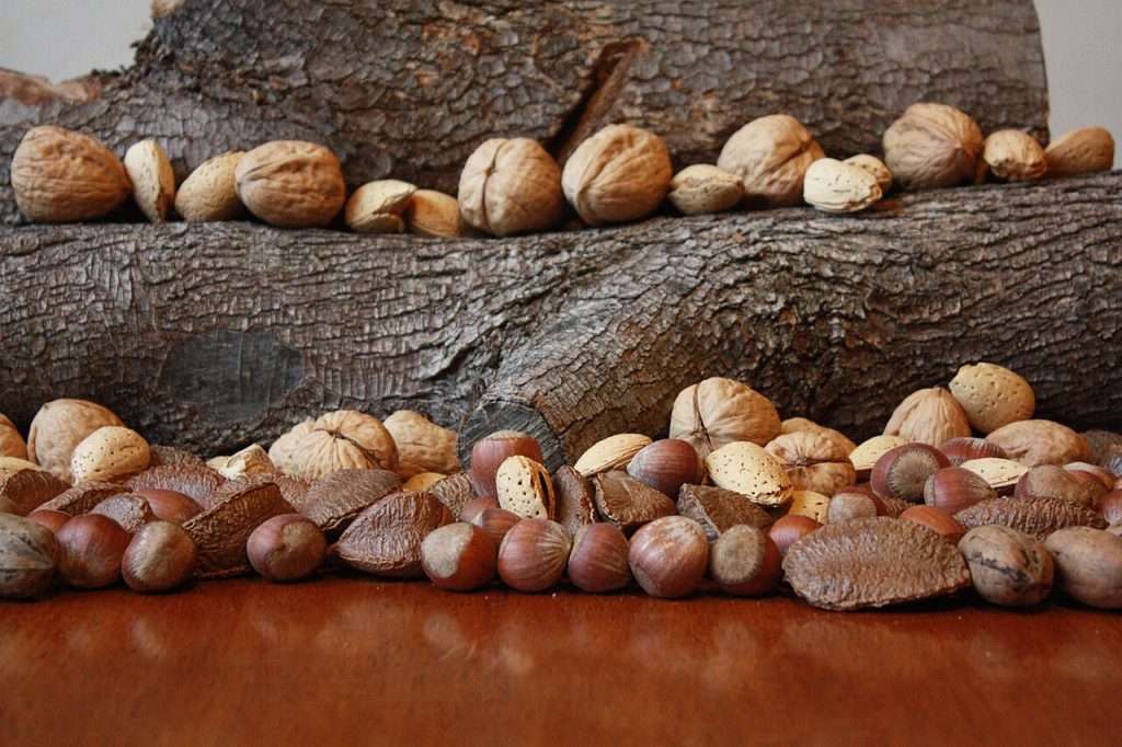 ecans, hazelnuts, walnuts, almonds, Brazil nuts on a table with logs 2.jpg