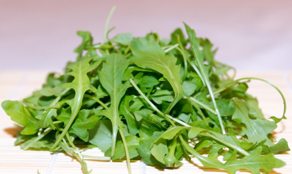 Arugula also known as Rocket