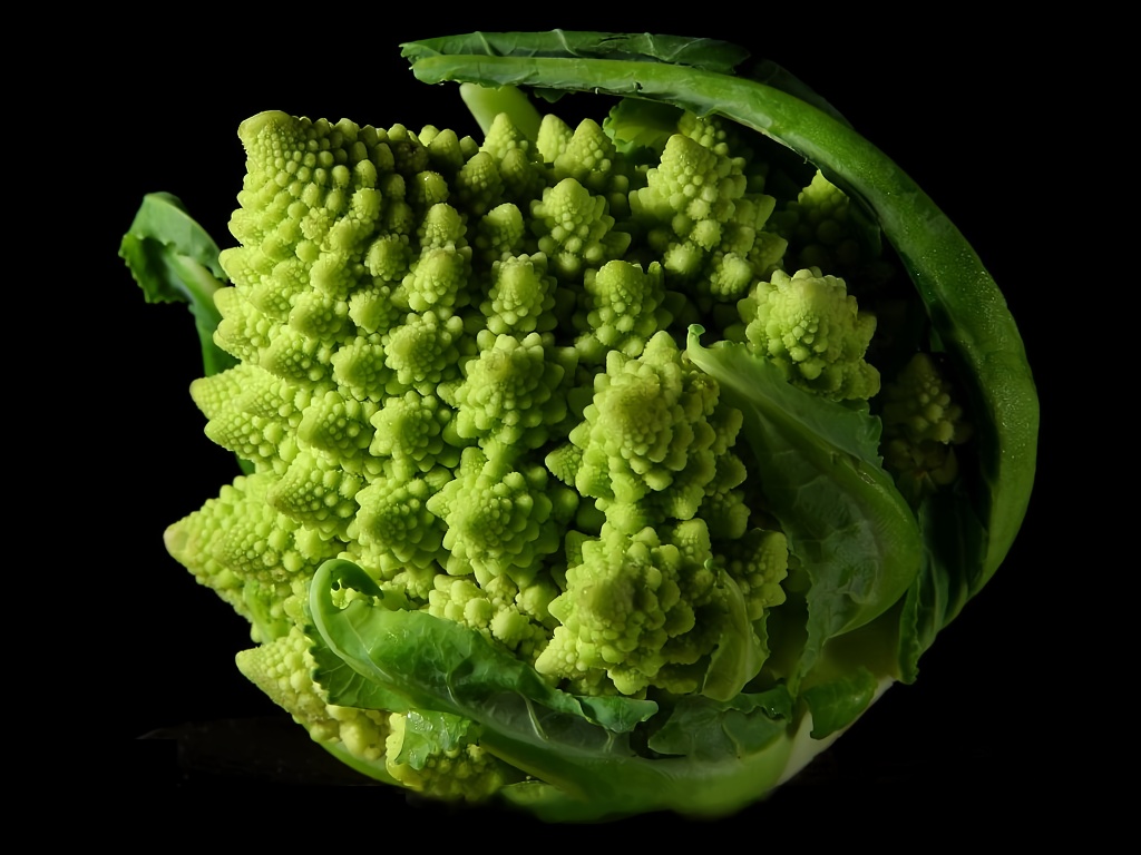 ractal Broccoli.jpg