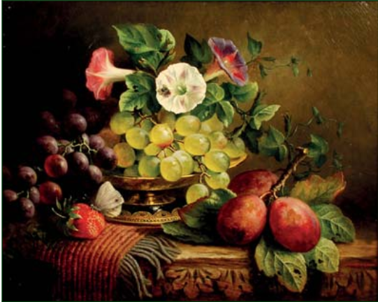rapes, Convolvuli and Plums. Oil on Canvas, signed Charles Stuart.png