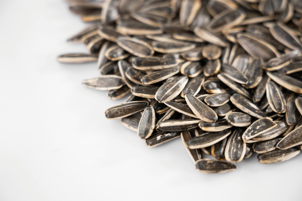 Sunflower Seeds on a white surface