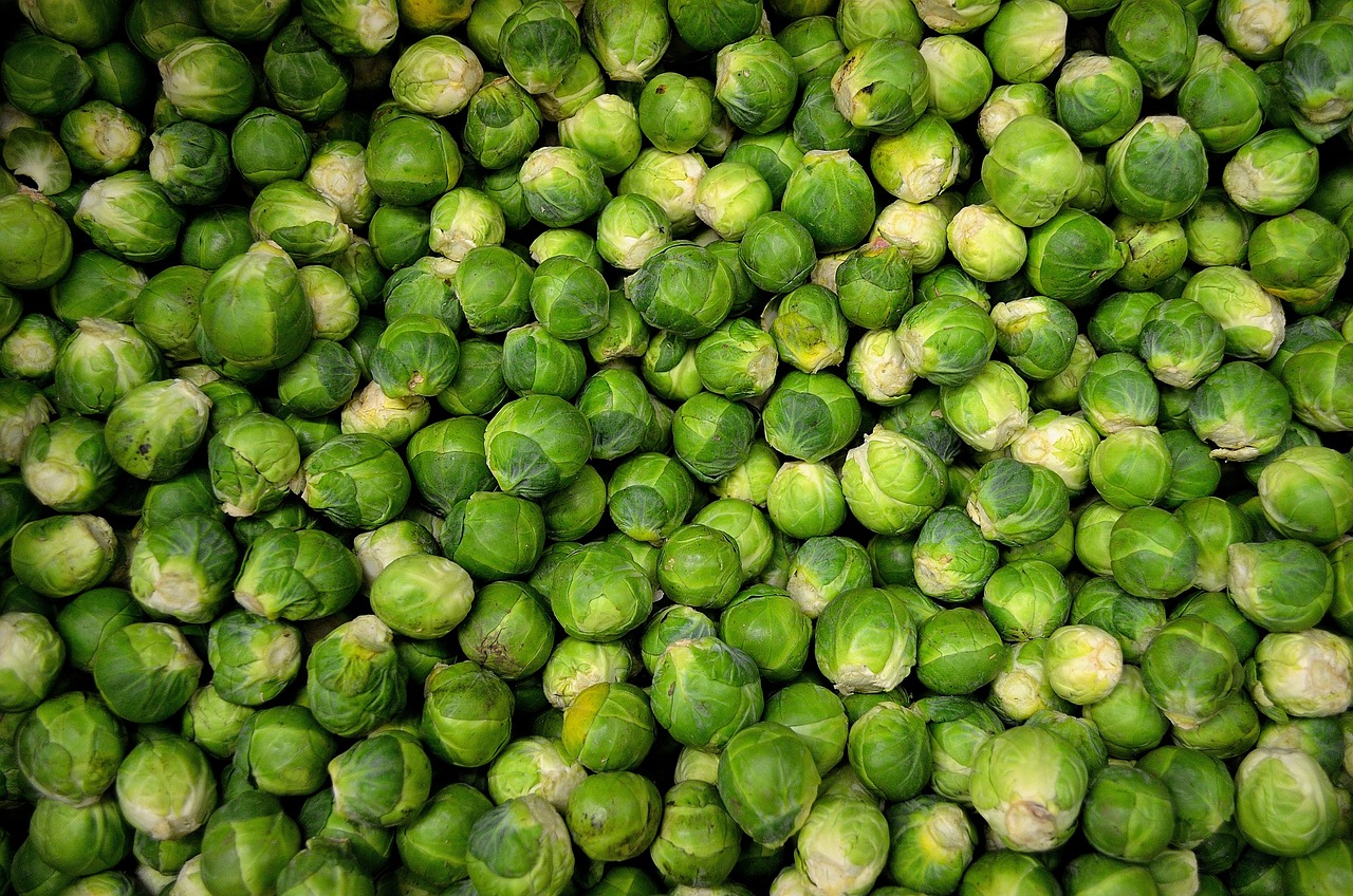 Brussels Sprouts: Powerful Defender