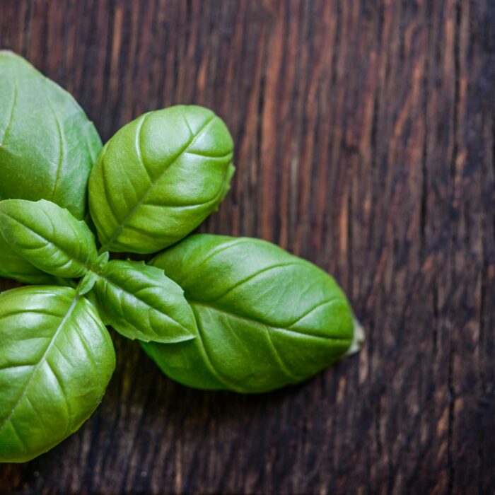 Basil on a Brown Wooden Surface