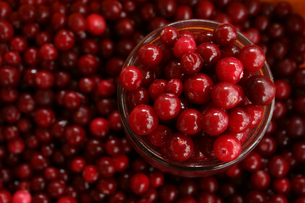 Close-up of Cranberries