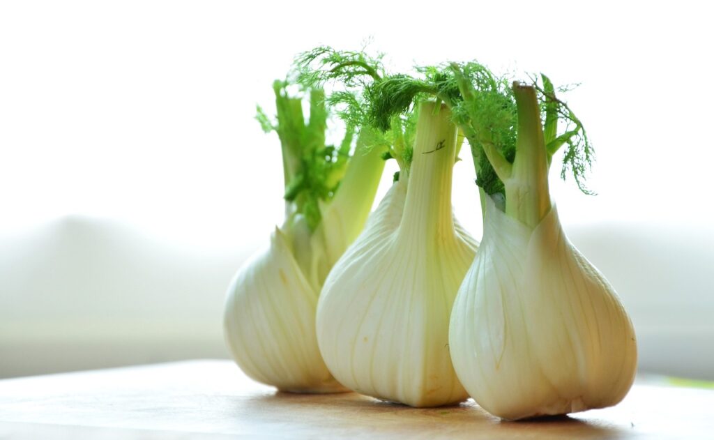 Three bulbs of fennel on a table