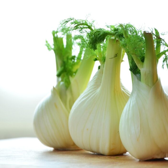 Three bulbs of fennel on a table