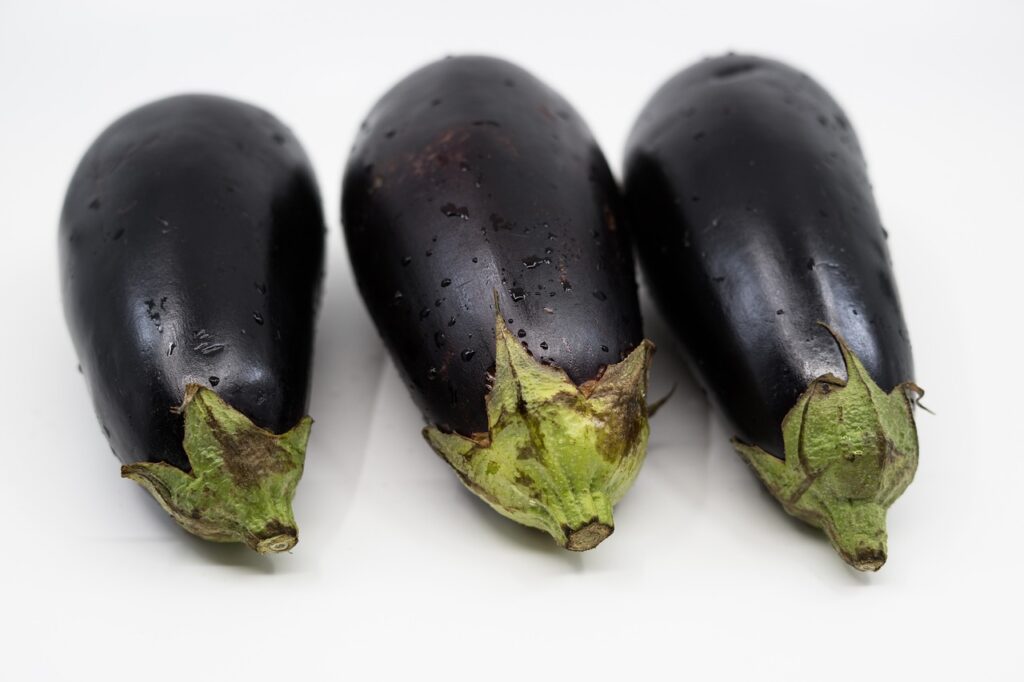 eggplant, vegetable, fruit