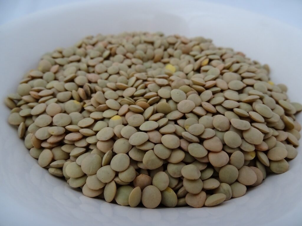 Lentils in a bowl