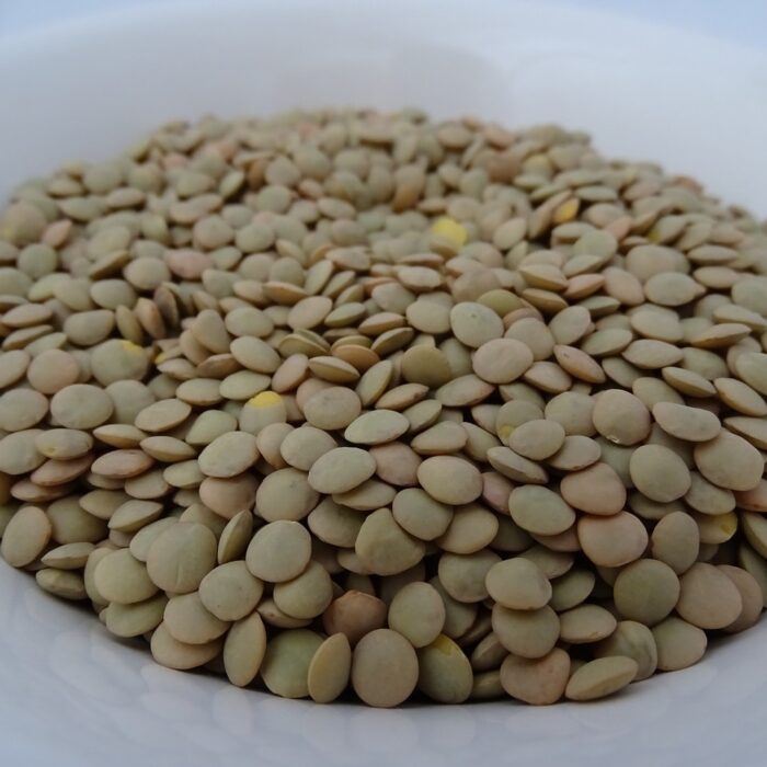 Lentils in a bowl