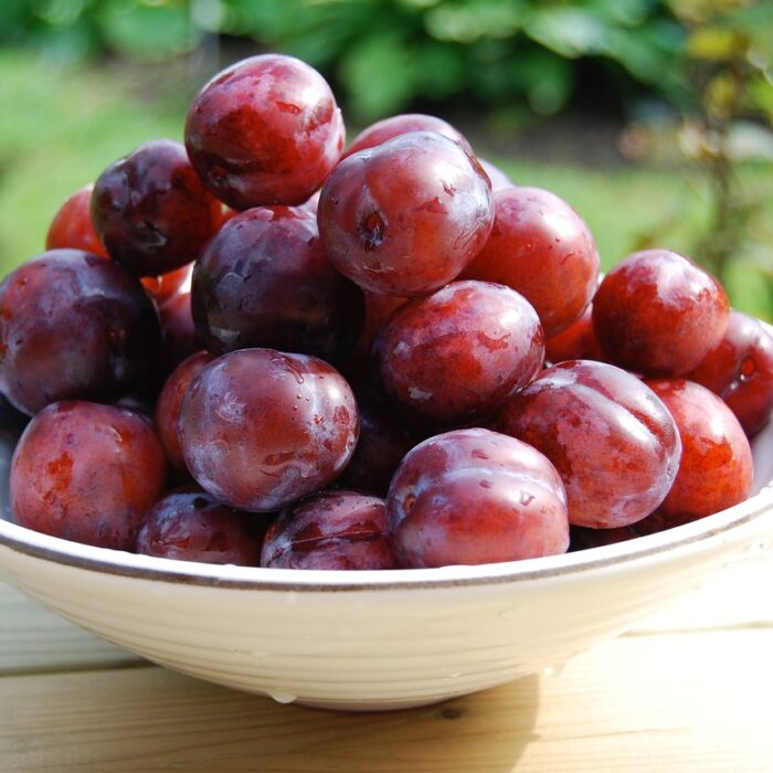 A bowl filled with plums placed outdoors in a garden setting.