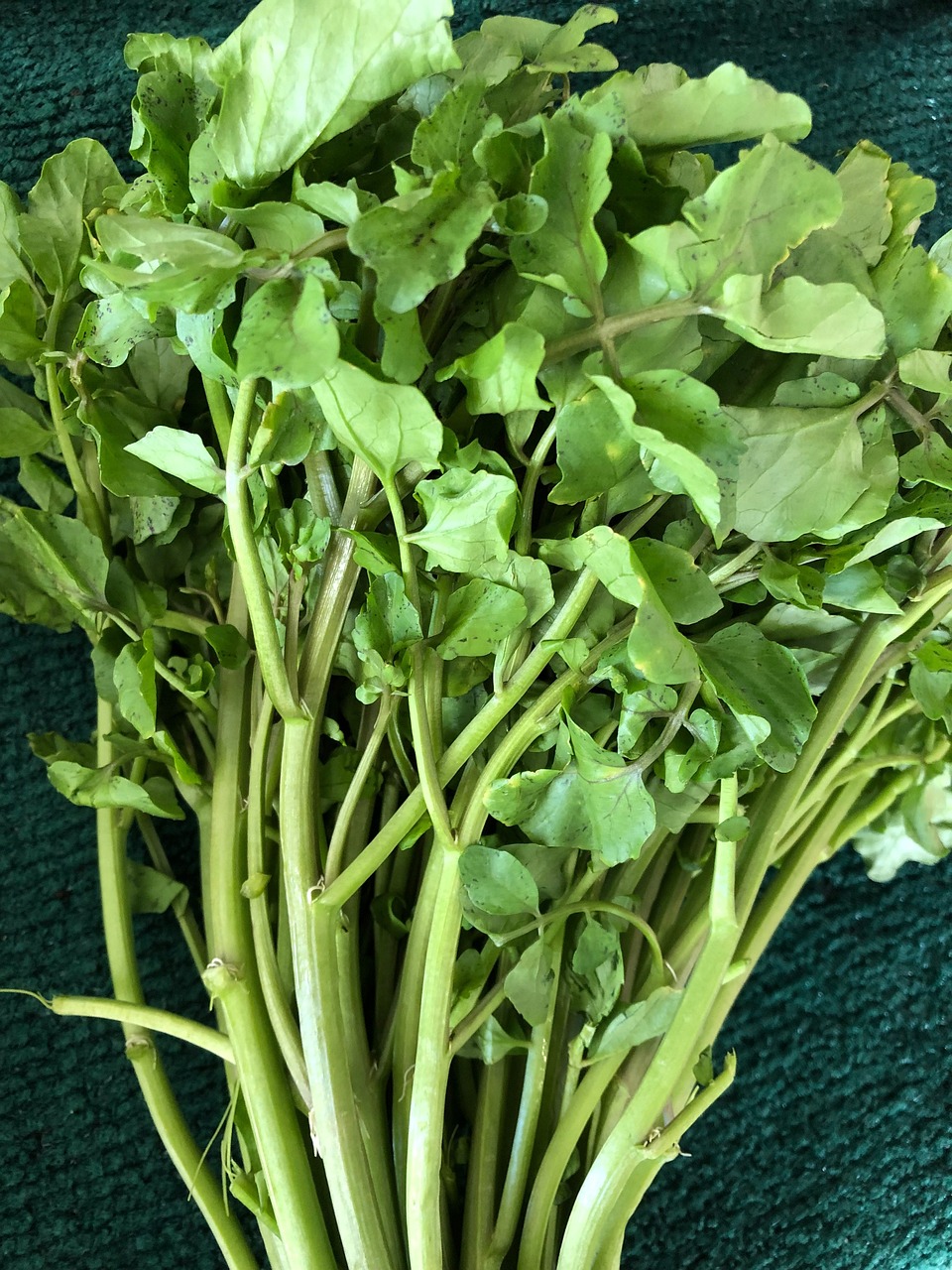 Watercress: Stimulating Power