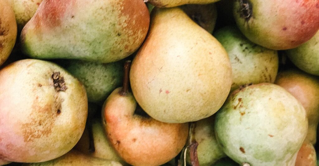 Close-up Photo of Bunch of Pears