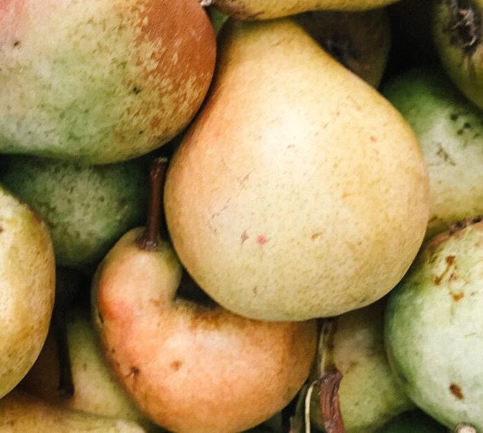 Close-up Photo of Bunch of Pears