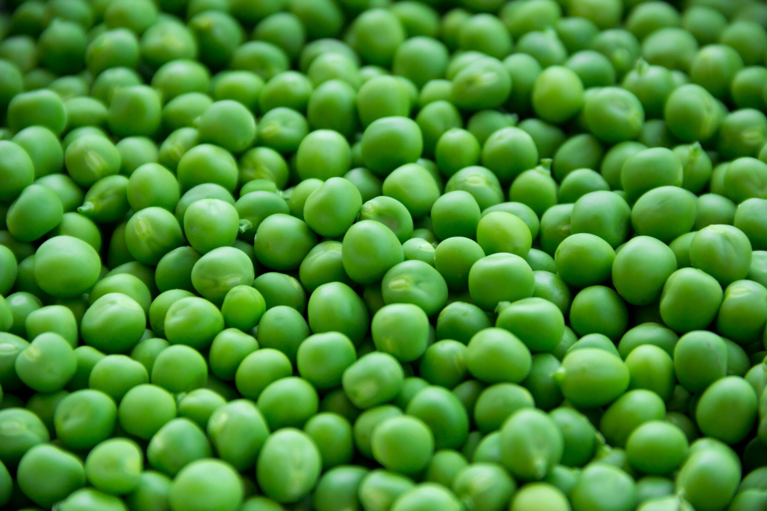 Peas: Packed With Fiber