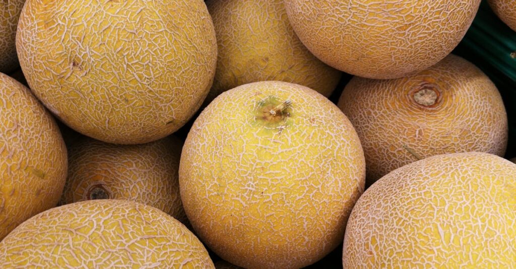 Close-up Photo of Cantaloupe