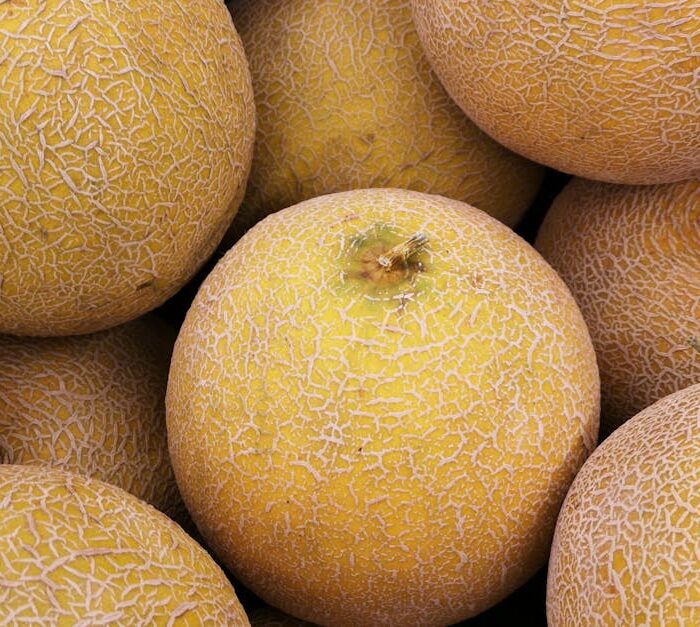 Close-up Photo of Cantaloupe