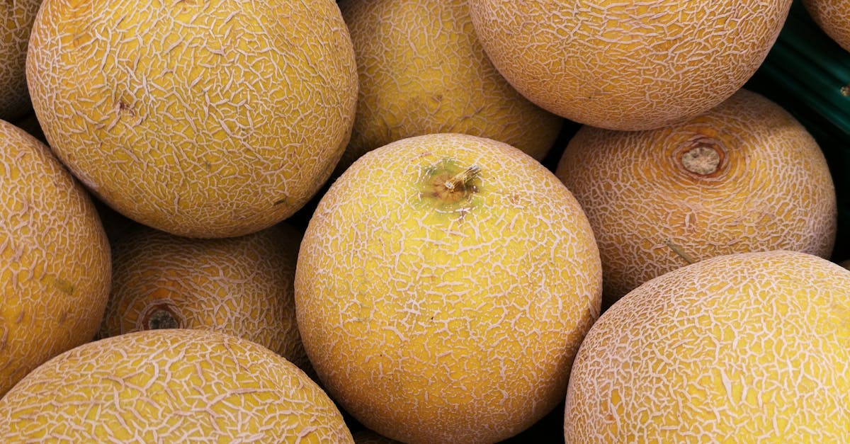 Cantaloupe (Rock Melon): Nutritional Goodness