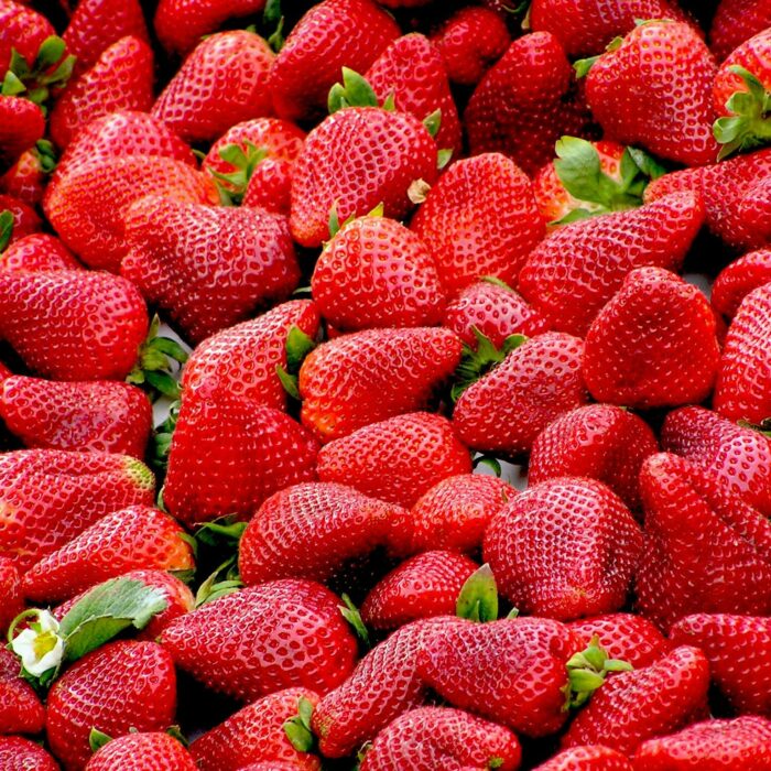 Red Strawberries