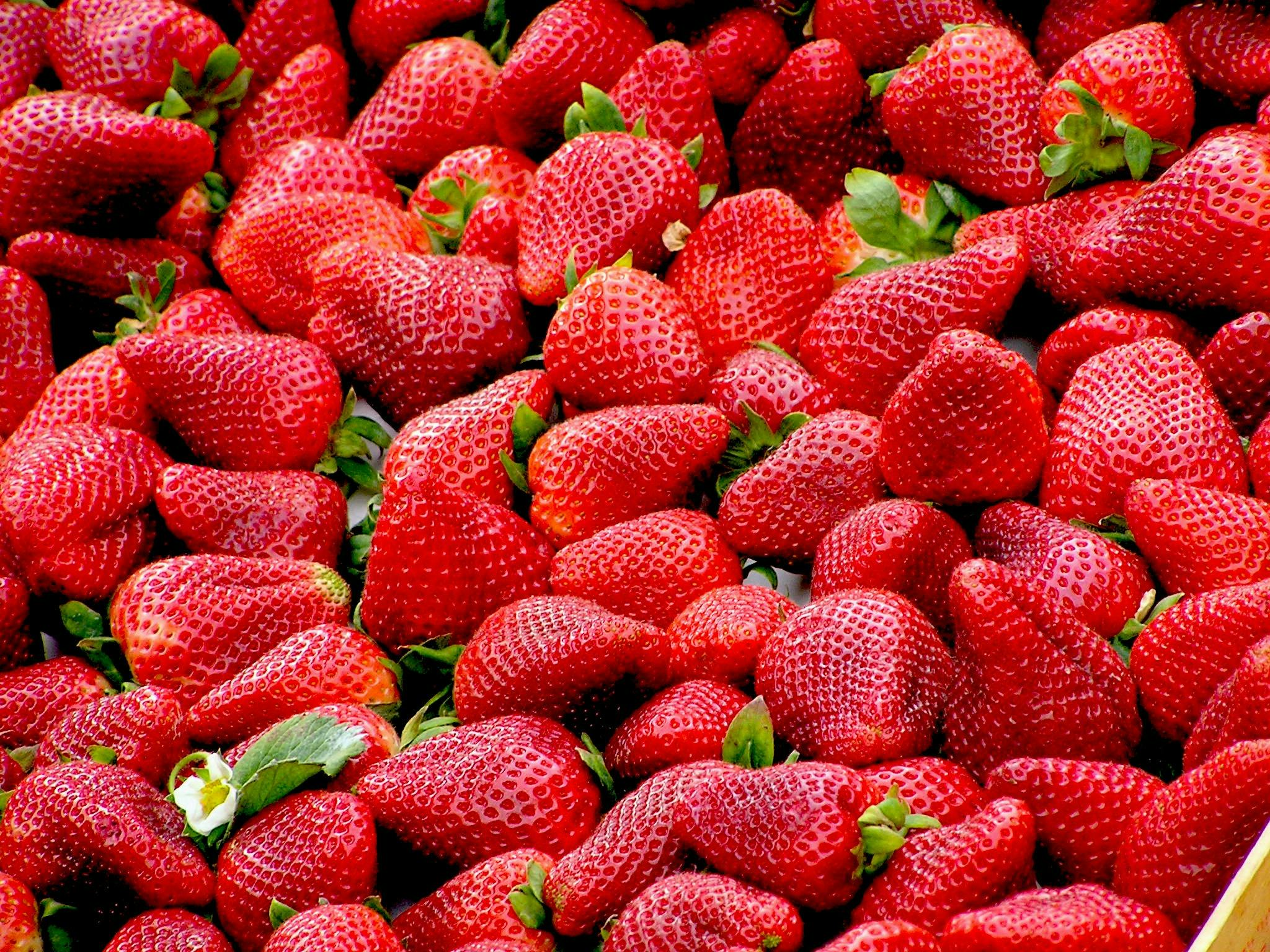 Strawberry: Fat Fighting Nutrition