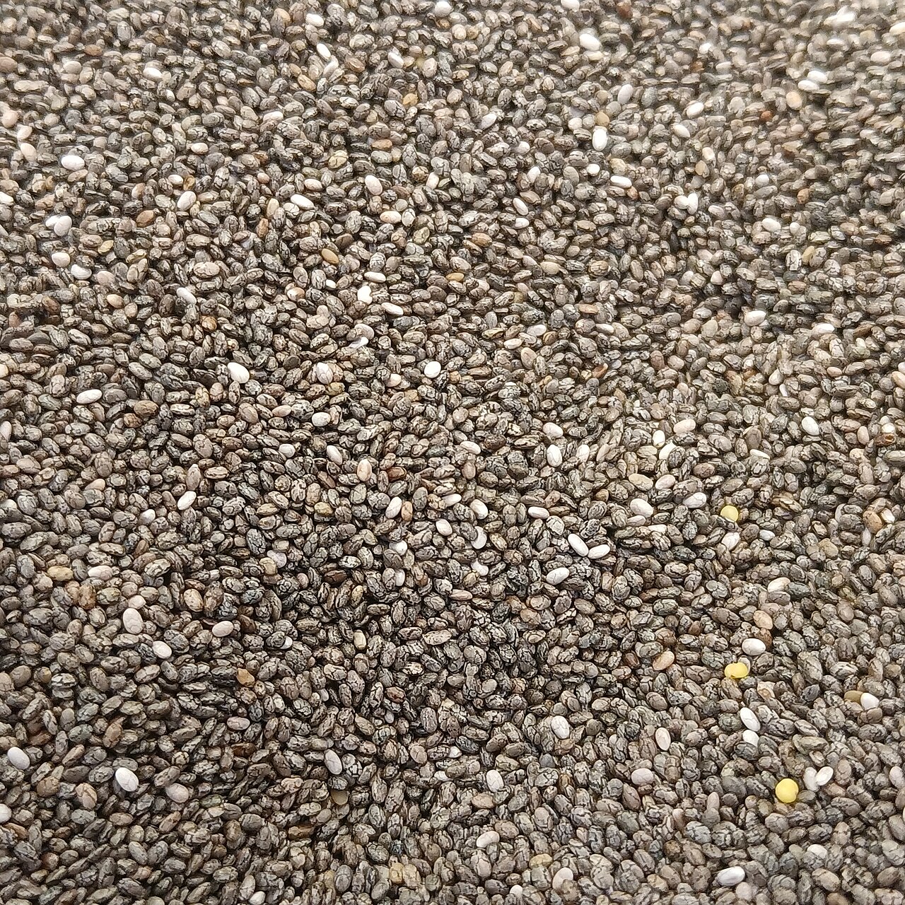 exican chia seeds (2).jpg