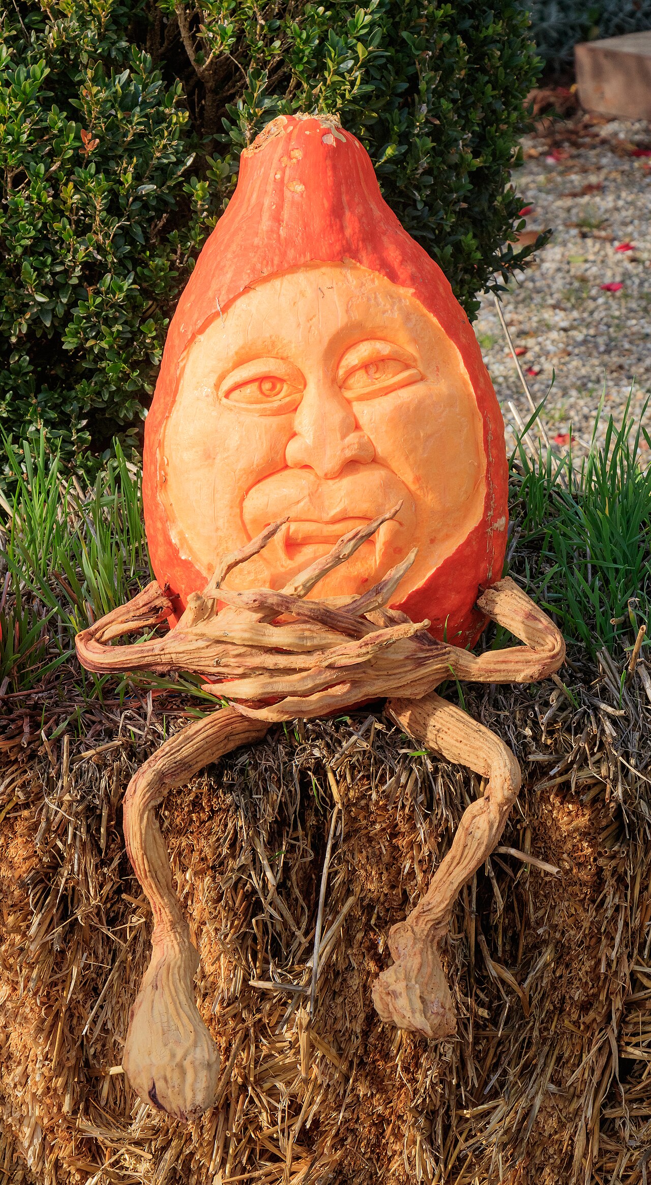 arved pumpkin - Ludwigsburg 01.jpg