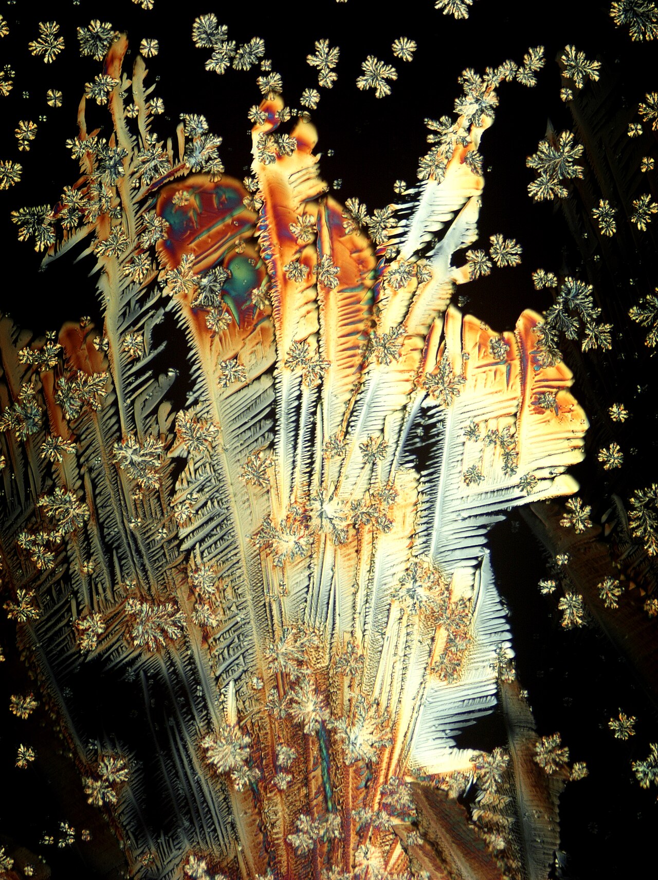 rystals of vitamin C.jpg
