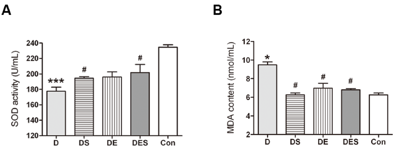 ffects of spermidine and exercise on SOD activity and MDA content of aging model rats (n = 5).png