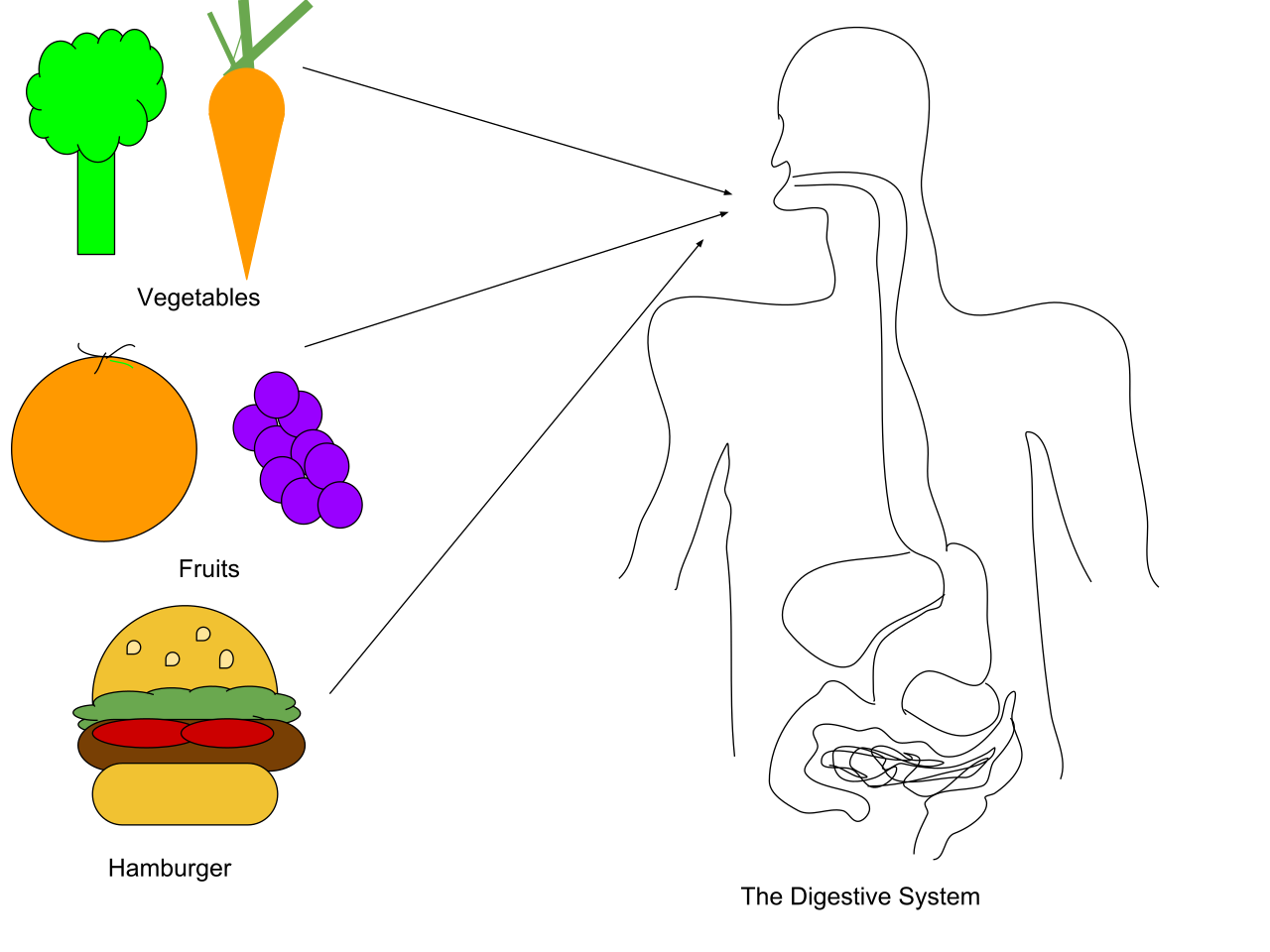 ngestion of Dietary Fiber.svg