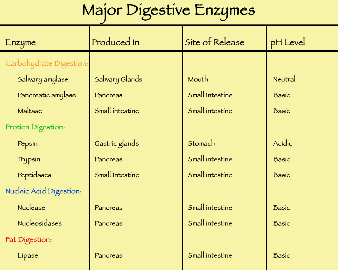 Complete Guide To Digestive Health: From Stomach Acid To Gut Motility