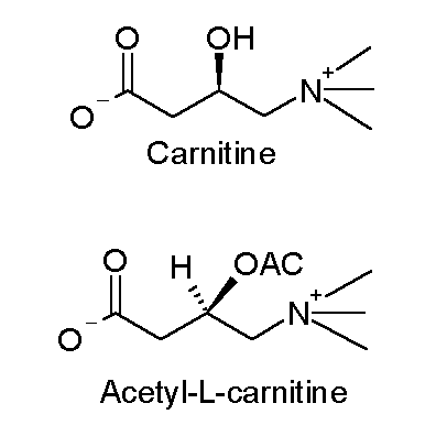 Acetyl-L-Carnitine: Mitochondrial Support for Mental Clarity