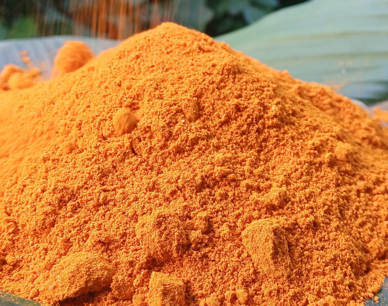 akadong Turmeric Powder final product.jpg