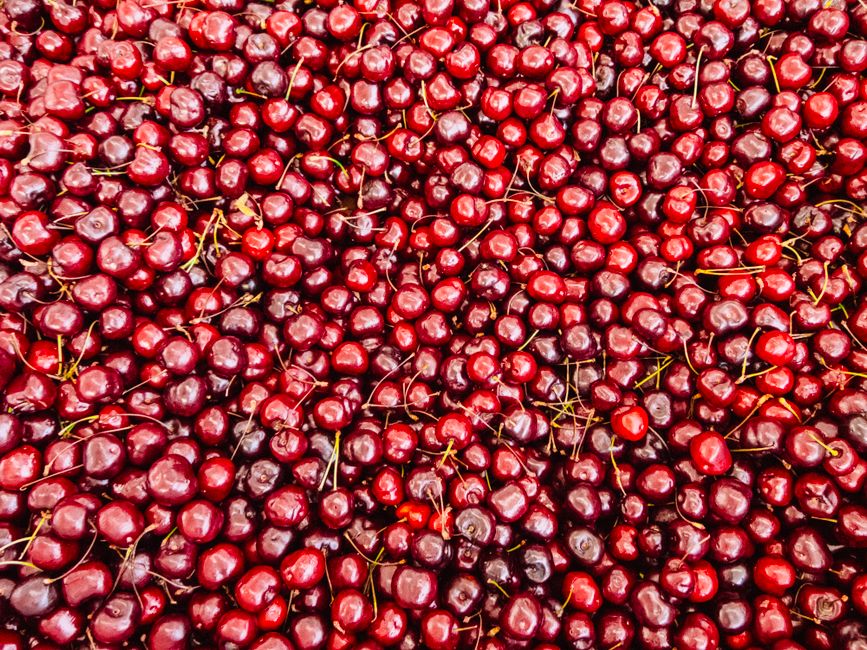 Nutrition and wellness research guide focusing on tart cherry juice and chamomile healthy choices