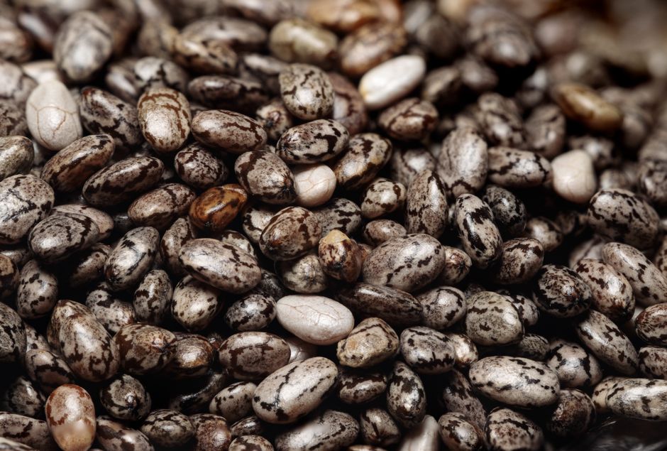 Nutrition and wellness research guide focusing on prebiotic resistant starch for short chain fatty acids healthy choices