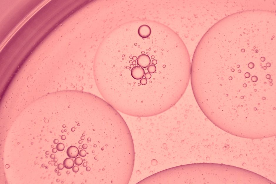 Nutrition and wellness research guide focusing on medium chain triglycerides mct oil for quick cellular energy healthy choices