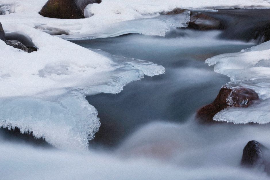 Nutrition and wellness research guide focusing on cold water exposure and vascular circulation healthy choices